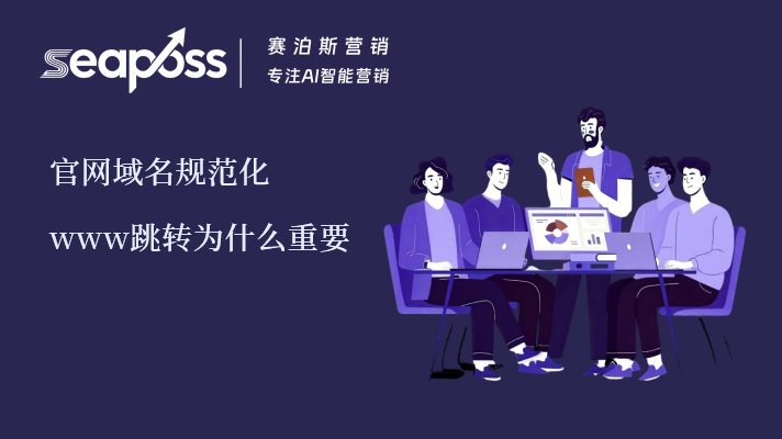 赛泊斯解析www域名跳转的重要性.jpg