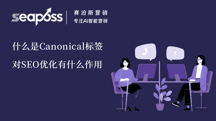 赛泊斯讲解 Canonical 标签对SEO优化的作用